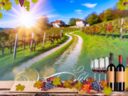 The Wine Trail: Discovering Serbia’s Hidden Vineyards and Wineries The Wine Trail: Discovering Serbia's Hidden Vineyards and Wineries